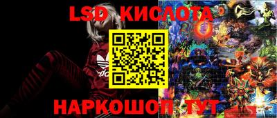 прущие крисы Нальчик