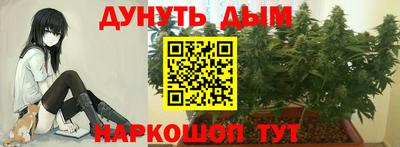прущие крисы Нальчик