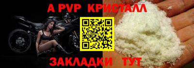 прущие крисы Нальчик