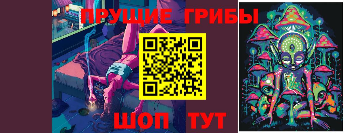 Галлюциногенные грибы прущие грибы  продажа наркотиков  Севастополь  Псилоцибиновые грибы Cubensis  Вход с VPN 